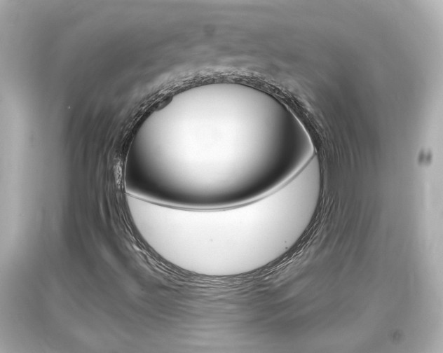 X0000094381492200711020812