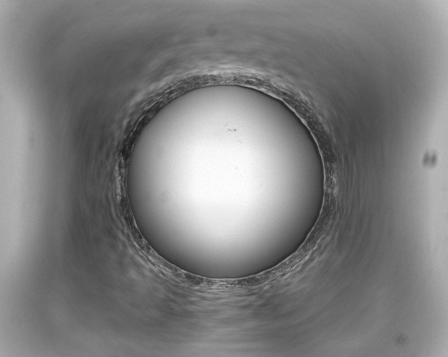 X0000094381493200711020812