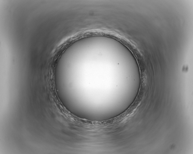 X0000094381494200711020812