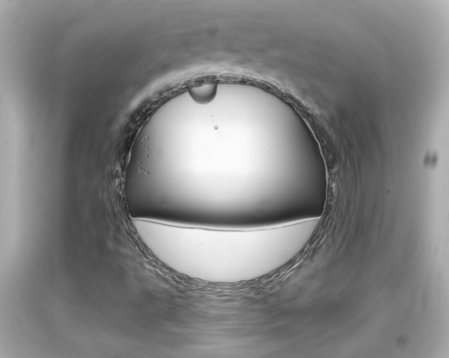 X0000094381495200711020812