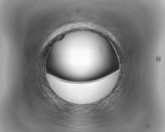 X0000094381496200711020812