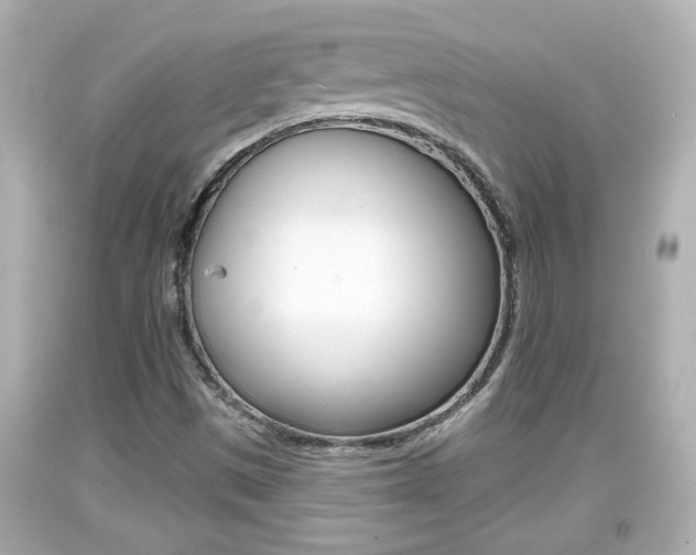X0000094381497200711020812
