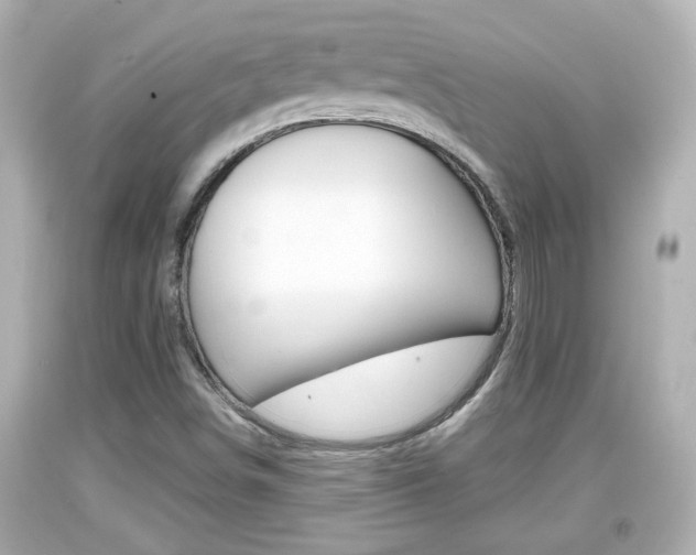 X0000094381498200711020812