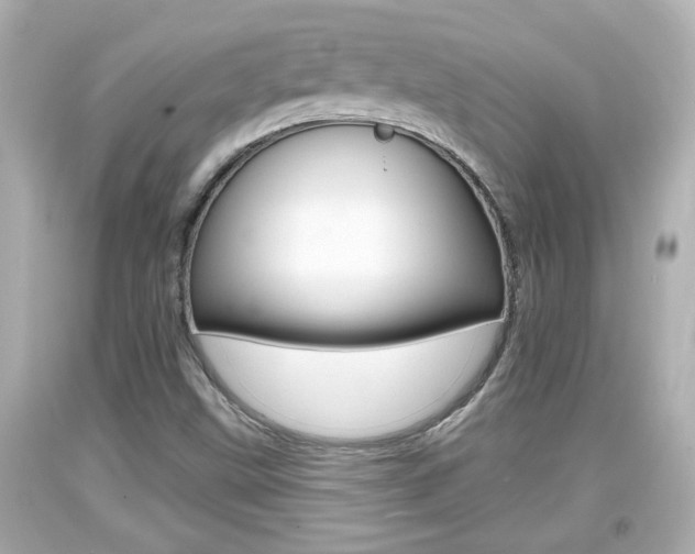 X0000094381499200711020812