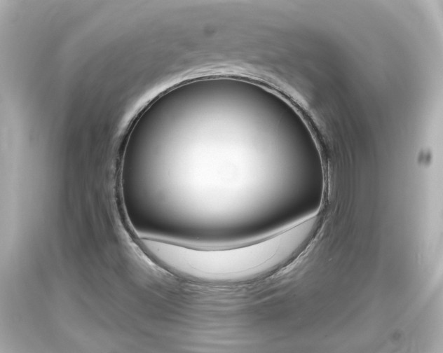 X0000094381500200711020812