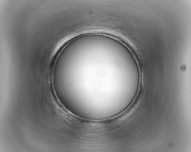 X0000094381501200711020812