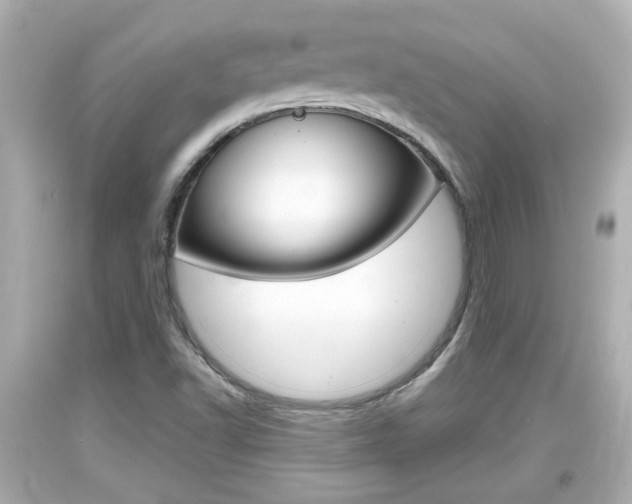 X0000094381502200711020812
