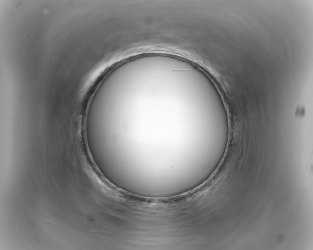 X0000094381503200711020812