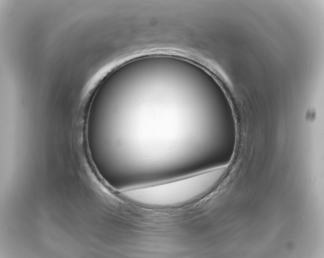 X0000094381504200711020812