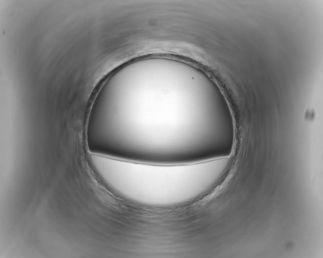 X0000094381505200711020812