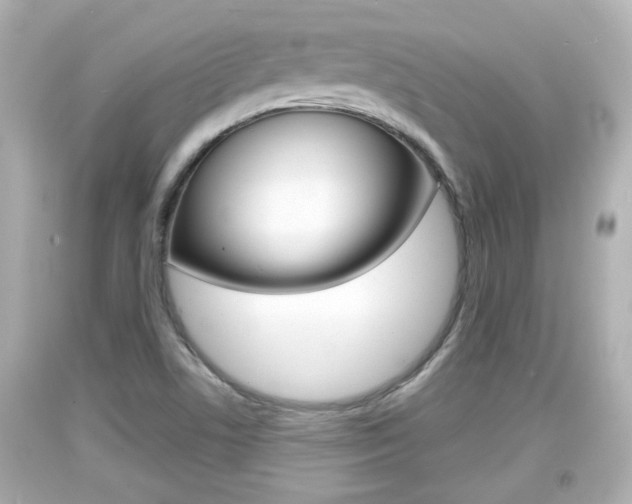 X0000094381506200711020812