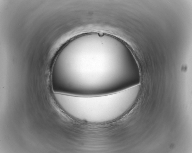 X0000094381507200711020812