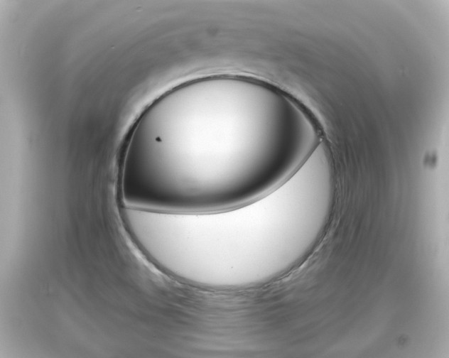 X0000094381508200711020812
