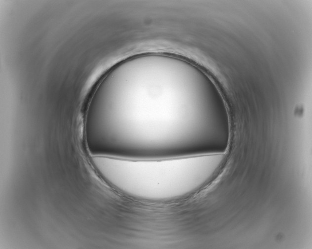 X0000094381509200711020812
