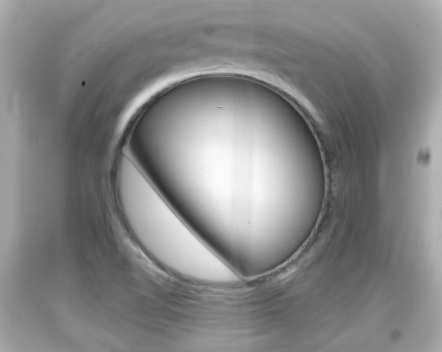 X0000094381510200711020812