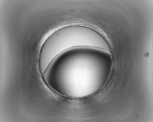 X0000094381512200711020812