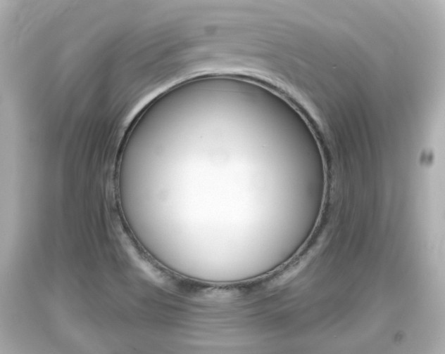 X0000094381513200711020812