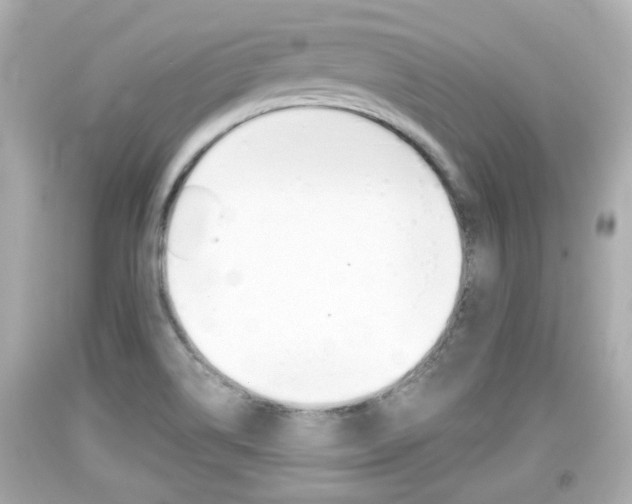 X0000094381514200711020812