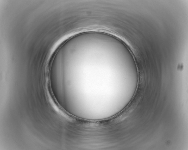 X0000094381515200711020812