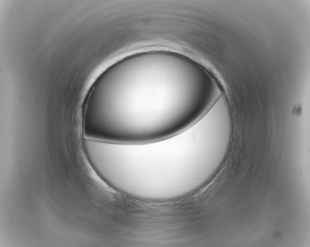 X0000094381516200711020812