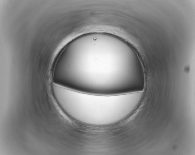 X0000094381517200711020812