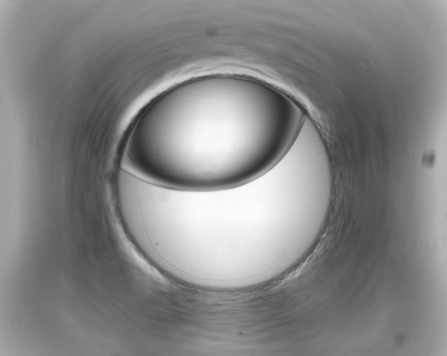 X0000094381518200711020812