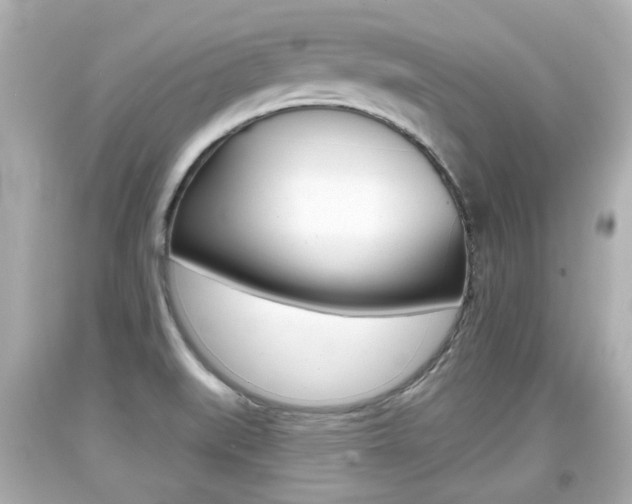 X0000094381519200711020812