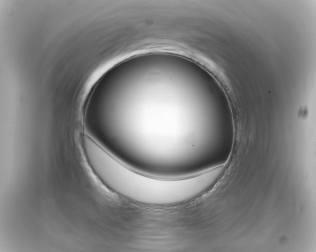 X0000094381520200711020812