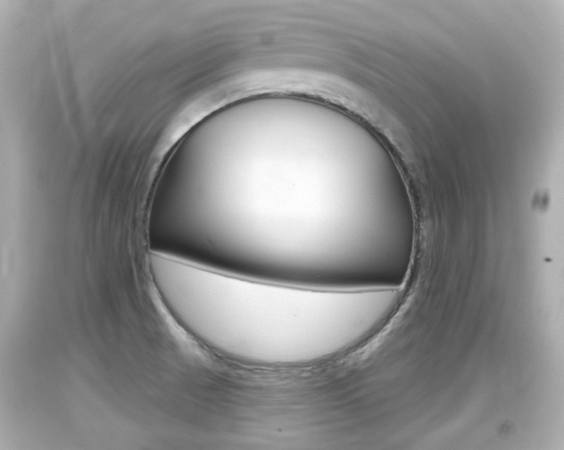 X0000094381521200711020812