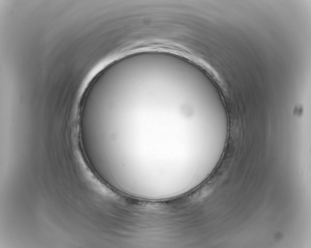 X0000094381522200711020813