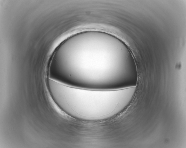 X0000094381523200711020813
