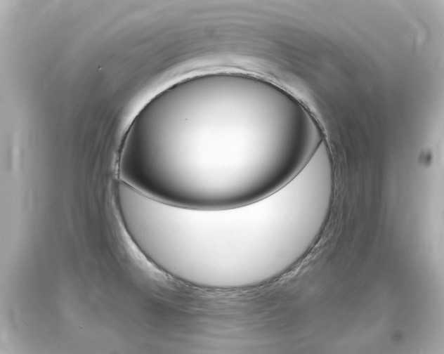 X0000094381524200711020813