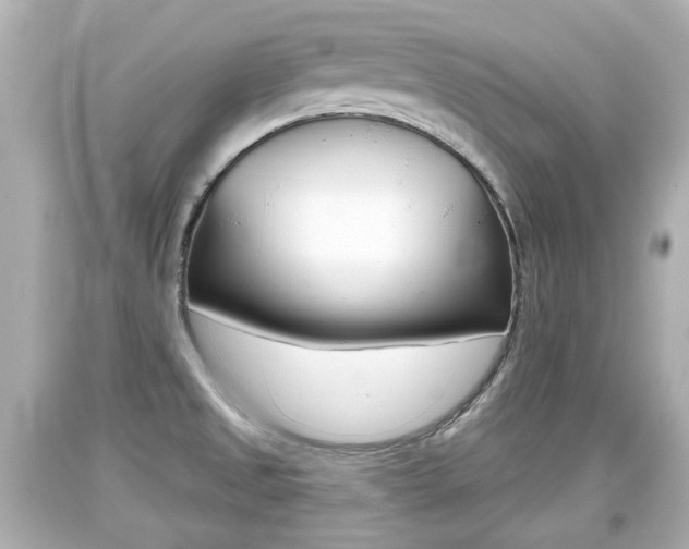 X0000094381525200711020813