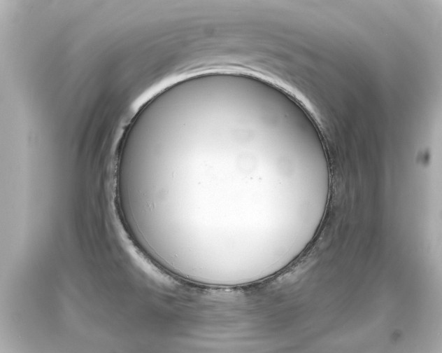 X0000094381526200711020813
