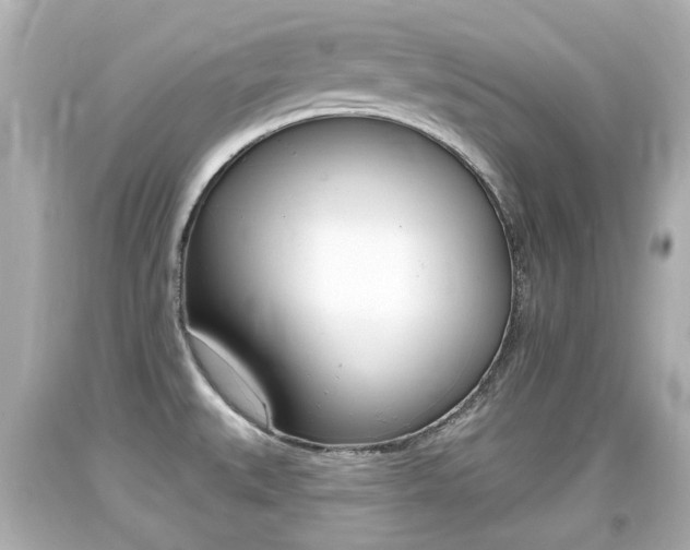 X0000094381527200711020813