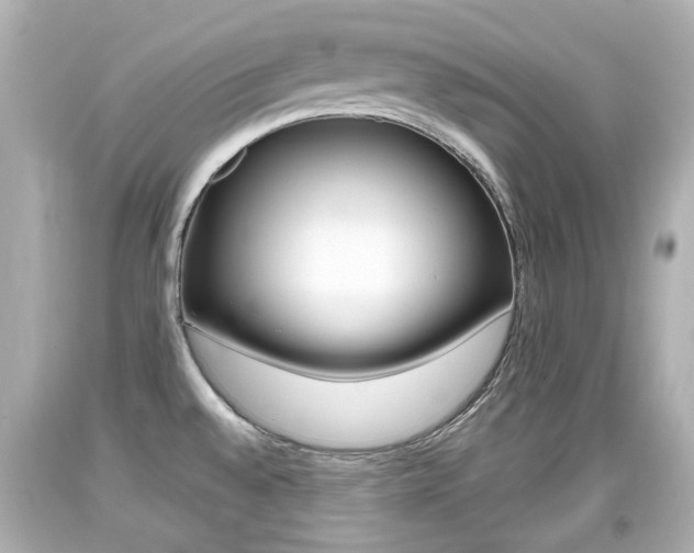X0000094381528200711020813