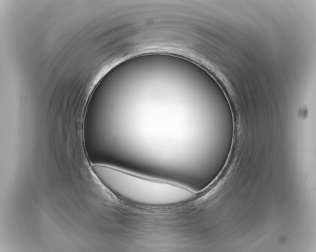 X0000094381529200711020813