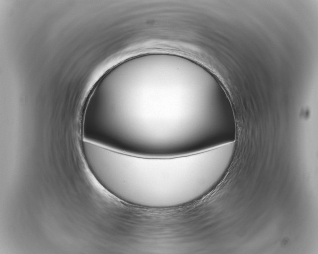 X0000094381531200711020813
