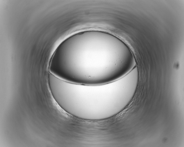 X0000094381532200711020813