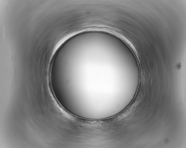 X0000094381533200711020813