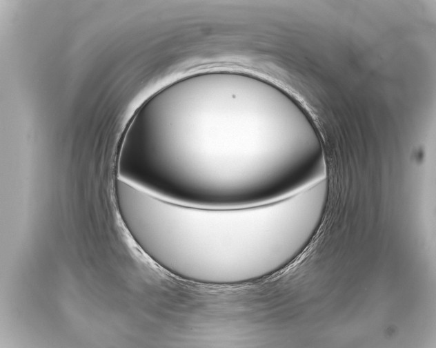 X0000094381534200711020813