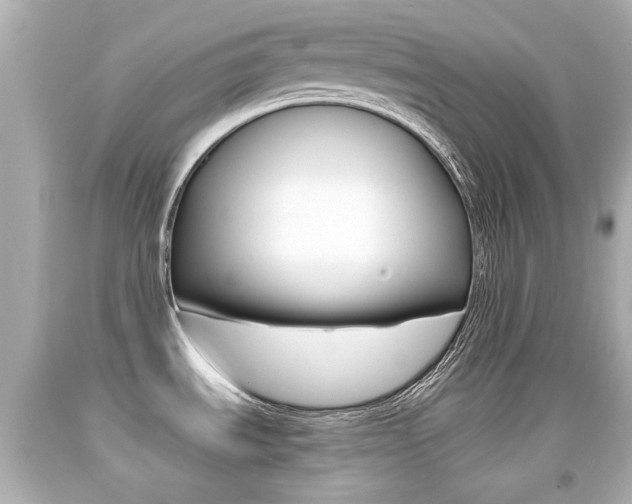 X0000094381535200711020813