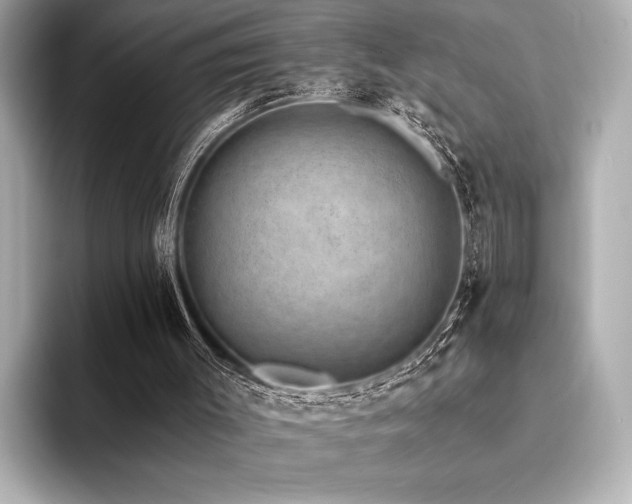 X0000094380003200711021234