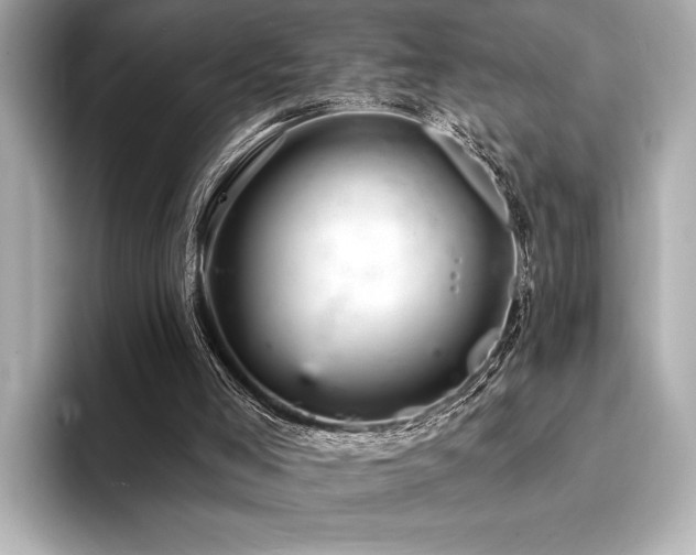X0000094380005200711021234