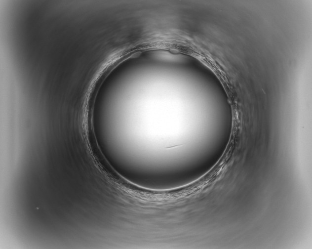 X0000094380006200711021234