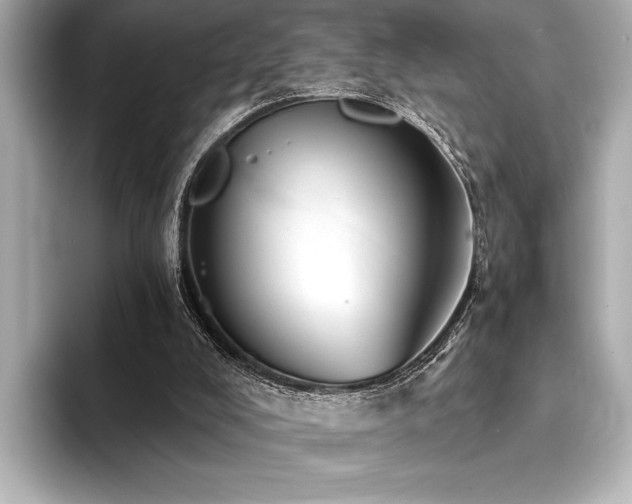 X0000094380008200711021234