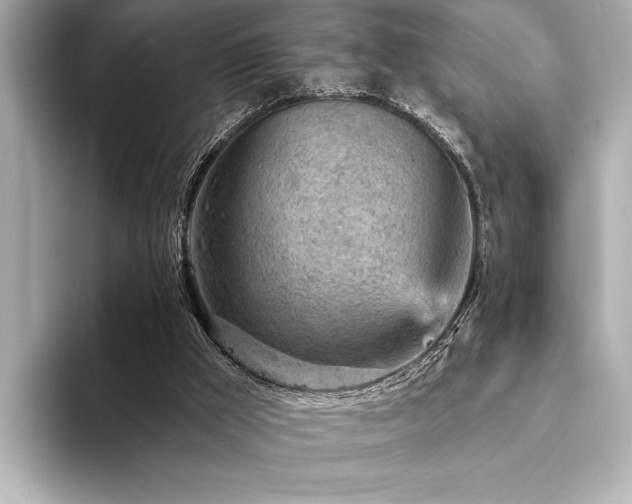 X0000094380009200711021234
