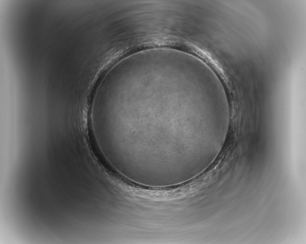 X0000094380010200711021234