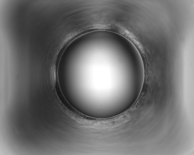 X0000094380011200711021234