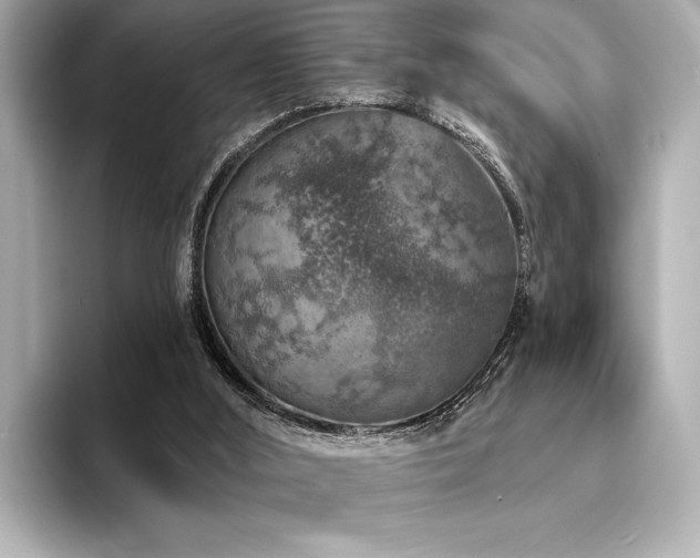 X0000094380012200711021234